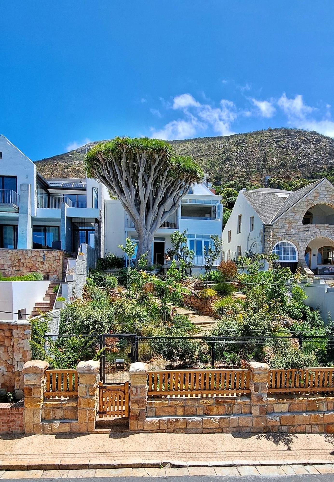 The Dragon Tree Guesthouse Kalk Bay Dış mekan fotoğraf