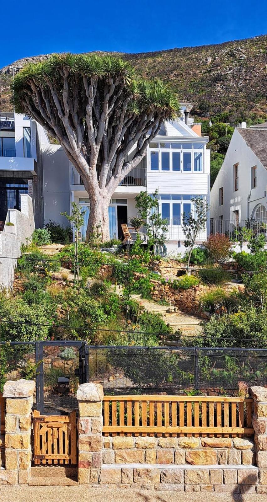 The Dragon Tree Guesthouse Kalk Bay Dış mekan fotoğraf